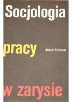 Socjologia pracy w zarysie