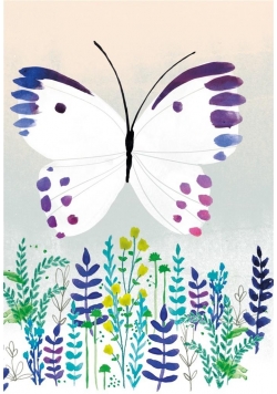 Kalendarz tygodniowy B6 2018-2019 Motyl ALBI