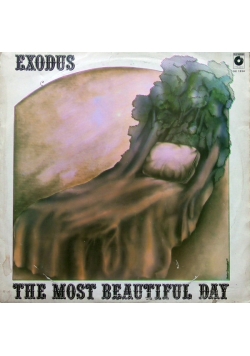 The Most Beautiful Day Płyta winylowa