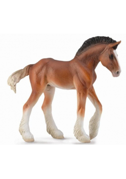 Źrebię Clydesdale Bay