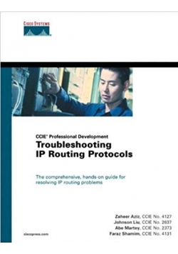 Troubleshooting Ip Routing Protocols