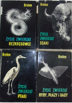 Życie zwierząt,zestaw 4 książek