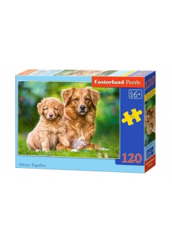 Puzzle 120 Zawsze razem CASTOR