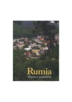 Rumia miasto w pradolinie