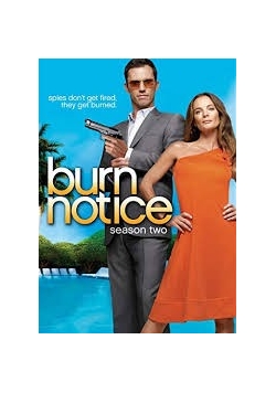 Burn Notice: Season 2, DVD