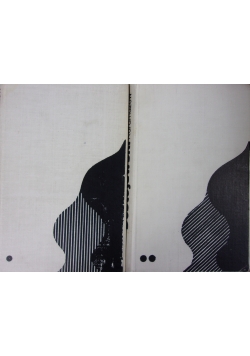 Bracia Karmazow, tom I-II