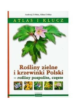 Rośliny zielne i krzewinki Polski, rośliny pospolite, częste: Atlas i klucz