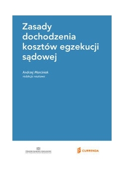 Zasady dochodzenia kosztów egzekucji sądowej