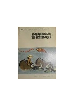 Ognisko w dżungli