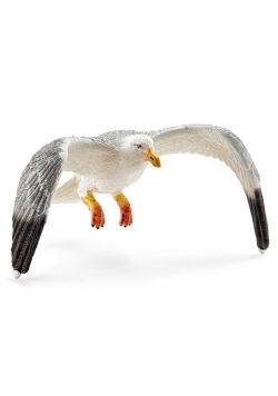 Mewa