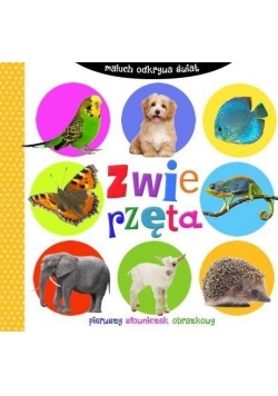 Maluch odkrywa świat. Zwierzęta WILGA