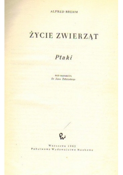 Życie zwierząt ptaki