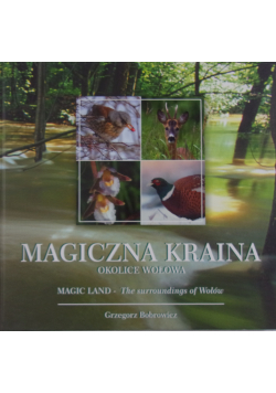 Magiczna Kraina okolice Wołowa