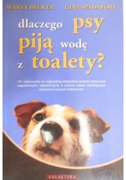 Dlaczego psy piją wodę z toalety?