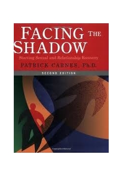 Facing the shadow
