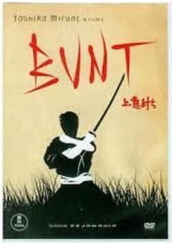Bunt DVD