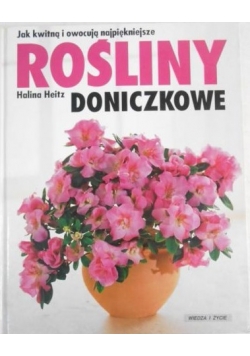 Rośliny doniczkowe