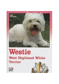 Westie