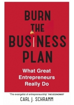Burn The Business Plan