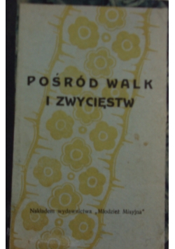 Pośród walk i zwycięstw, 1926 r.