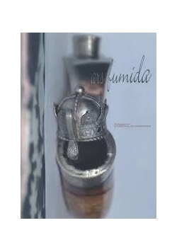 Ars fumida