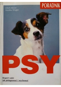 Psy