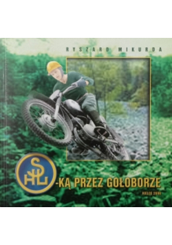 SHLką przez Gołoborze