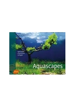 Aquascapes