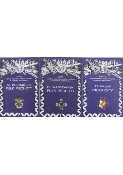 Zarys Historii Wojennej Pułków Polskich w Kampanii Wrześniowej zestaw 3 książek