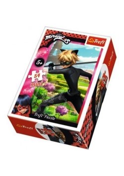 Puzzle 54 mini Czas na przemianę 4 TREFL