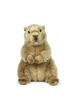 WWF Świstak 23 cm