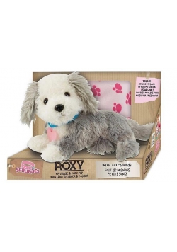 Scruffies Roxy otul mnie