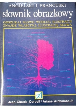 Angielski i francuski słownik obrazkowy
