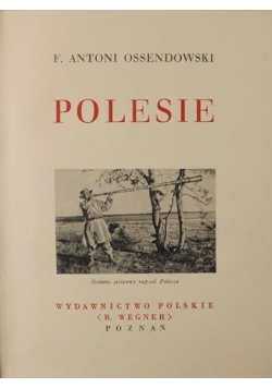 Polesie,ok.1934r.