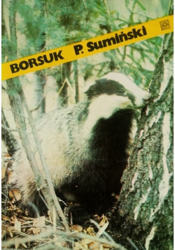 Borsuk
