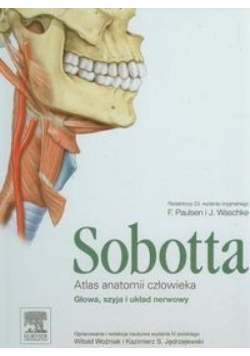 Atlas anatomii człowieka Sobotta T.3 Głowa, szyja
