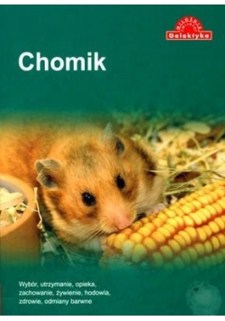 Chomik