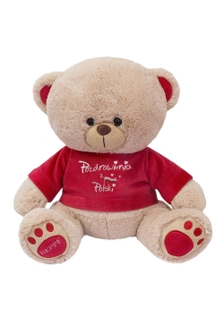 Miś w koszulce "Pozdrowienia z Polski" 22cm