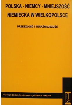 Polska Niemcy Mniejszość Niemiecka w Wielkopolsce
