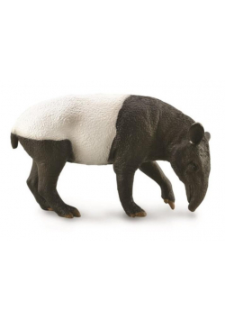 Malayan Tapir