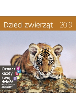 Kalendarz wieloplanszowy Dzieci zwierząt 30x30 2019
