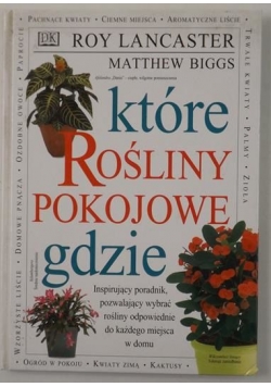 Które rośliny pokojowe gdzie
