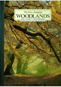 The Ever Changing Woodlands