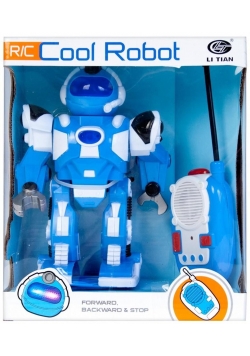 Robot ze sterowaniem