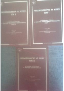 Przedsiębiorstwo na rynku, Tom I, część 1 - 2, Tom II