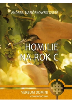 Homilie na Rok C
