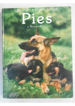 Pies