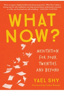 What now?: Meditation for Your Twenties and Beyond
