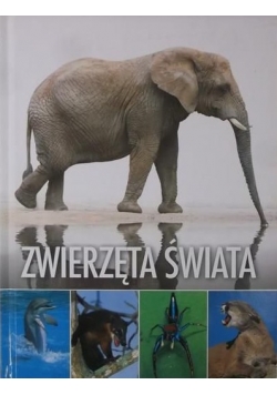 Zwierzęta świata