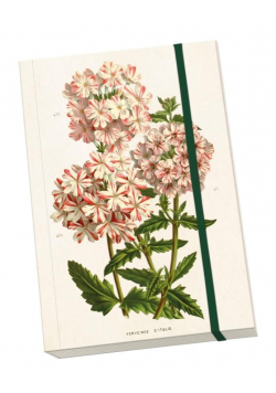 Notatnik ozdobny A5 STNOTE 70 Pelargonia